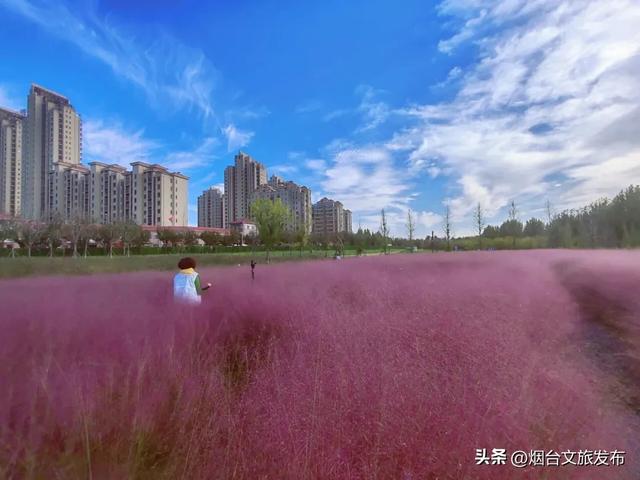 【乐游烟台】烟台福山的秋天，到底藏着多少惊喜？