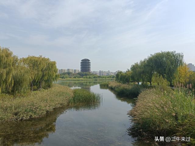 无为在歧路，国庆游淄博1