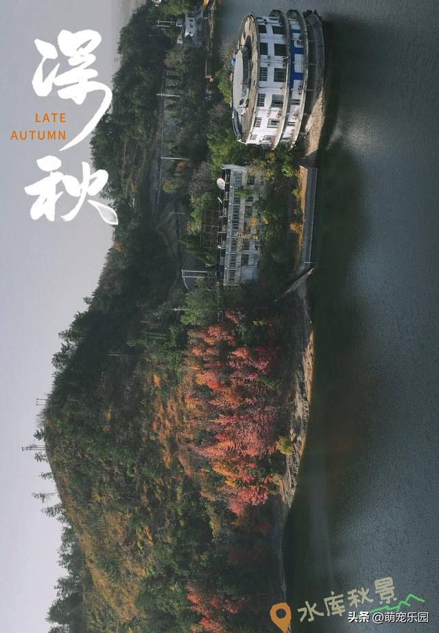 十一月底道观河，满山红叶如火海，湖心蝴蝶结美得让人窒息