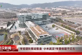 看看！武汉小米总部的“尖板眼”图片