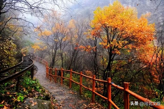 保定深秋“隐藏副本”已解锁：阜平，速来！