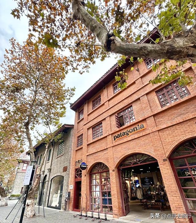 成都4大梧桐观赏地，17公里金色隧道，超级壮观，地铁公交直达！