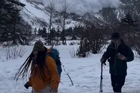 云南雨崩又发雪崩！景区回应图片