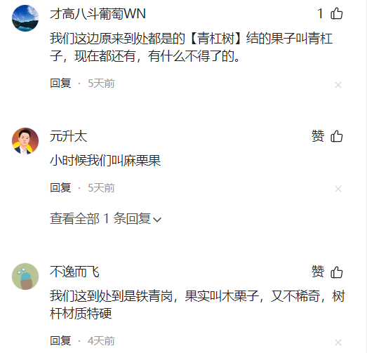 首次发现仅3株，25年云南又发现2株，网友：不稀奇	，老家遍地都是