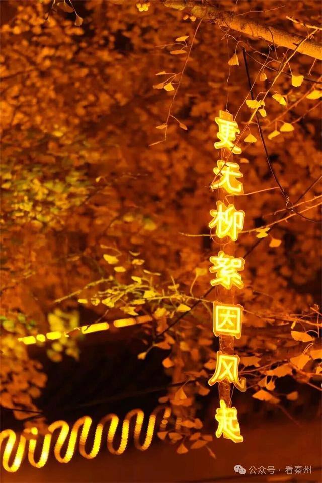 比人山人海还火爆的场面！就在天水“黄金大道”…