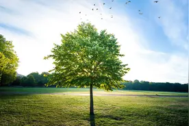 青岛幼儿师范高等专科学校聚焦教职工实际需求，将“急难愁盼”逐渐变成“实绩清单”图片