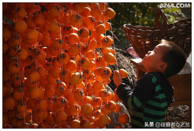 山东行游影记（194）—青州仰天山柿子沟（二）