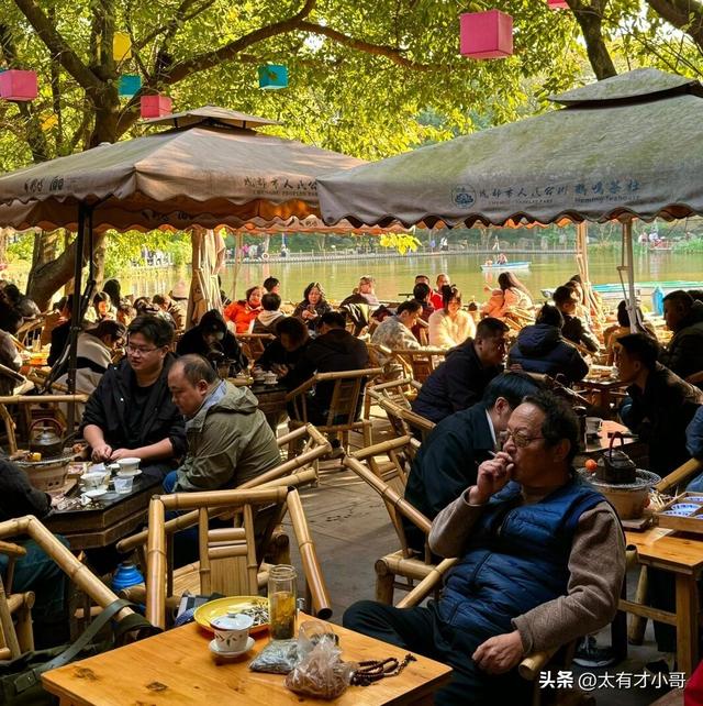 春节带家人游四川！6加暖心路线，熊猫+灯会+温泉全打卡