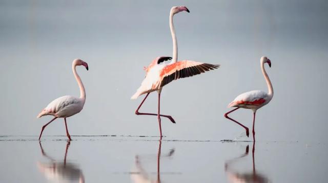 用实力说话！运城盐湖景区又双叒叕登全国榜单！