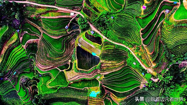 《西双版纳 澜沧行》左都佤山梯田云雾：天地间的水墨长卷