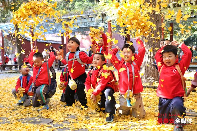 岱庙观景，簌簌金叶映童趣