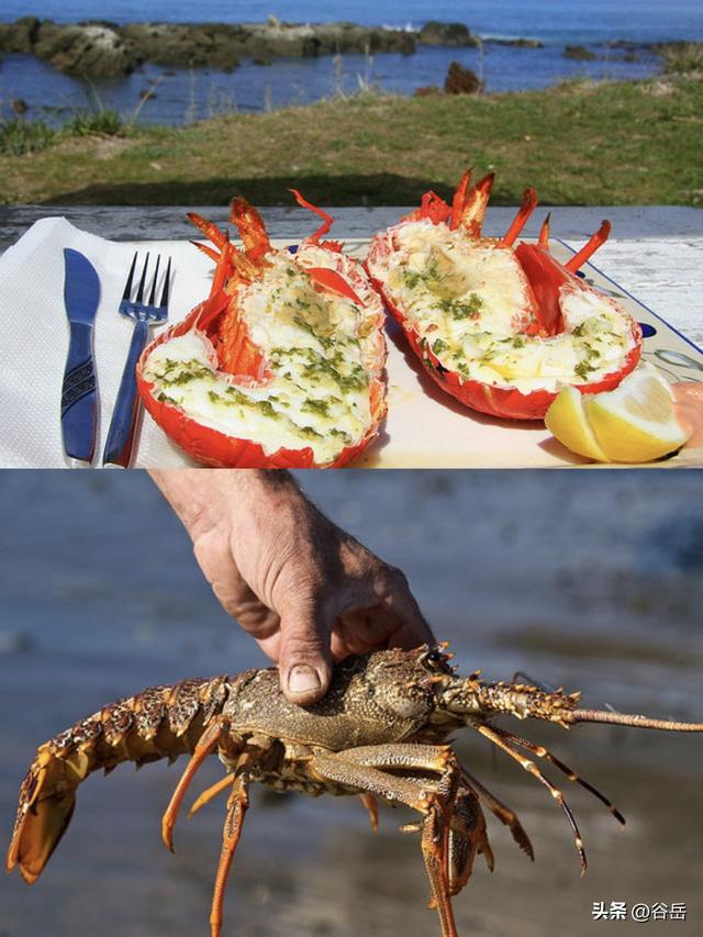 带着孩子，用轻徒步翻开大地之书