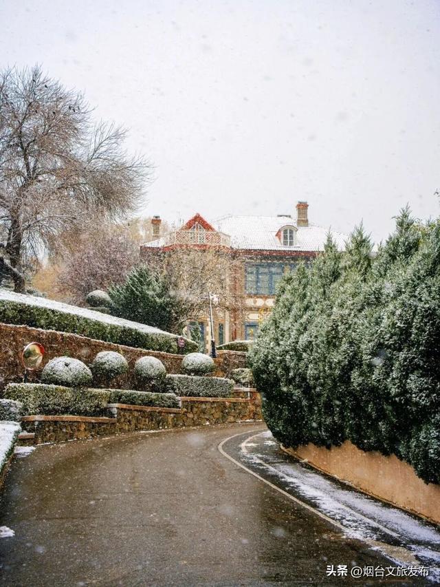 【乐游烟台】公交直达！烟台市中心神仙秘境，限时绝美