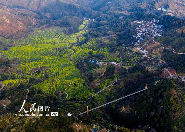 江西婺源：篁岭景区游人如织