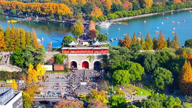 又到了秋天，第一座旅游城市，肯定选择六朝古都——南京！
