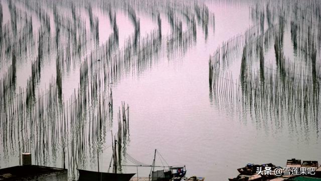 水墨国画，诗意霞浦