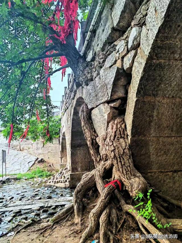 徐州城南藏着一条千年古驿道，走，今天带你一探究竟