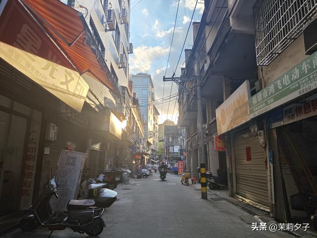 福鼎市区一日游：从白茶发源地到市井小吃赏唐风建筑品山海韵味