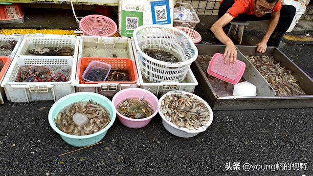 广州南沙金洲，一个充满市井生活气息的地方……