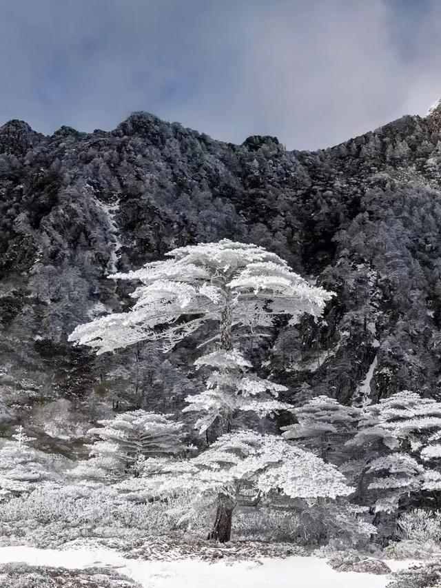 大理又要开“滤镜”了