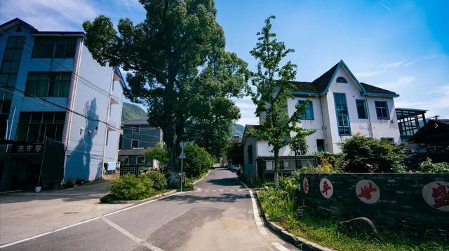 露营、垂钓……富阳这个村游客不断，越来越红火！