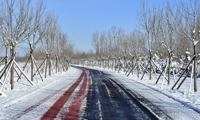 冬季晨跑科学指南：六看黄金法则助你跑过寒冬无忧！