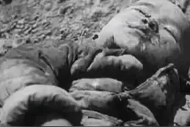 1937年，王凤阁一家牺牲儿子年仅五岁，于芷山却看出日本迟早战败图片