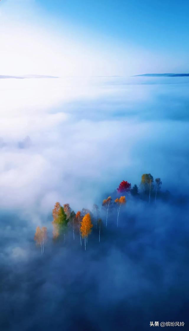 晨雾如纱,轻轻缠绕着远山近林