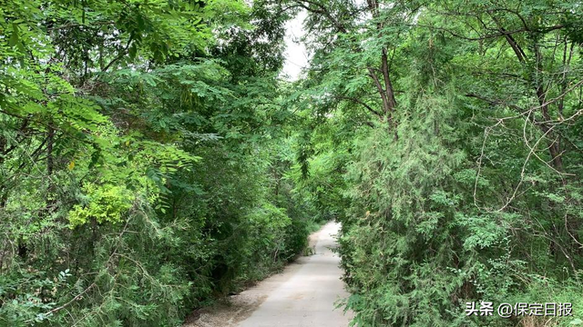 聚焦河北省旅发大会 | 保定分会场：Baoding Mountain Walk！穿越保定太行步道的N种可能