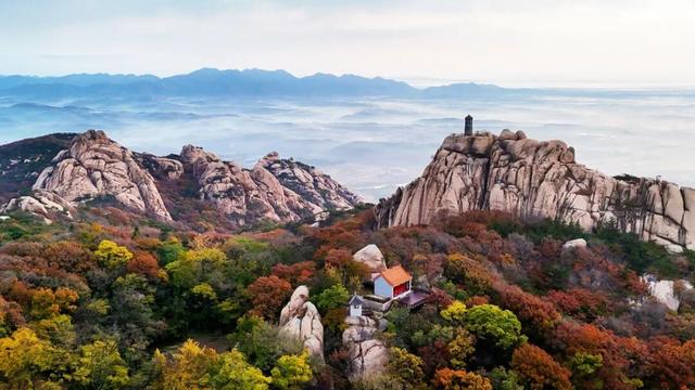 你去看了吗？日照这座山迎来了一年最好看的时候！