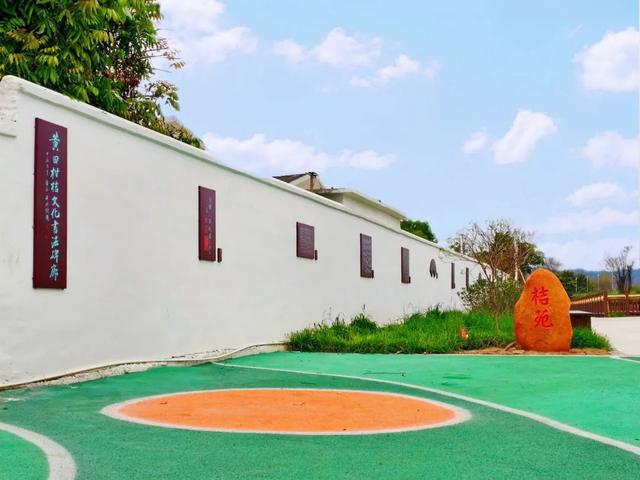 夏天甜度超标！肇庆这个地方真的把我拿捏住了！