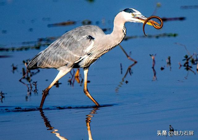 跨越山海的生态之约 奏响人与自然和谐乐章