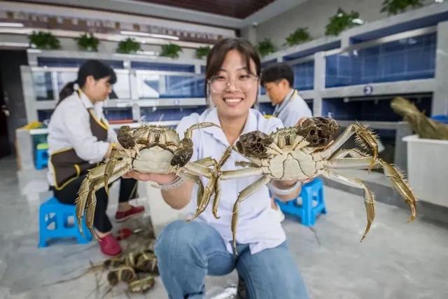 “横着走”的快乐谁懂？