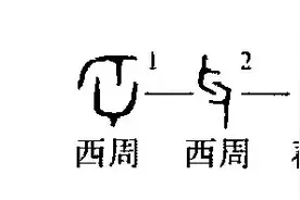 何为“牙”？何为“齿”？图片
