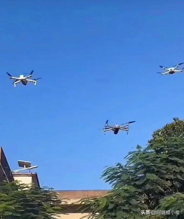 全红婵爸妈也没想到，别墅刚封顶，一家人就走上了大衣哥的老路