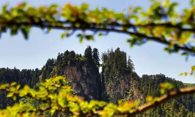 漳县等待每一位“朱迪”和“尼克”前来探险