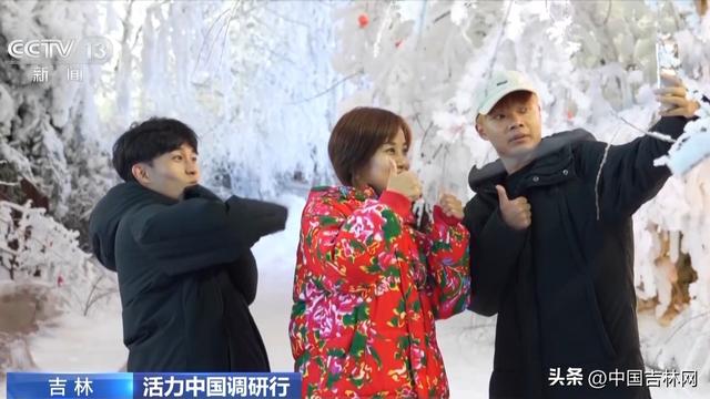 活力中国调研行丨雪道骑行、山顶露营 这里的滑雪场夏日不打烊！