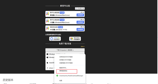 好用的下载工具：NDM 下载器