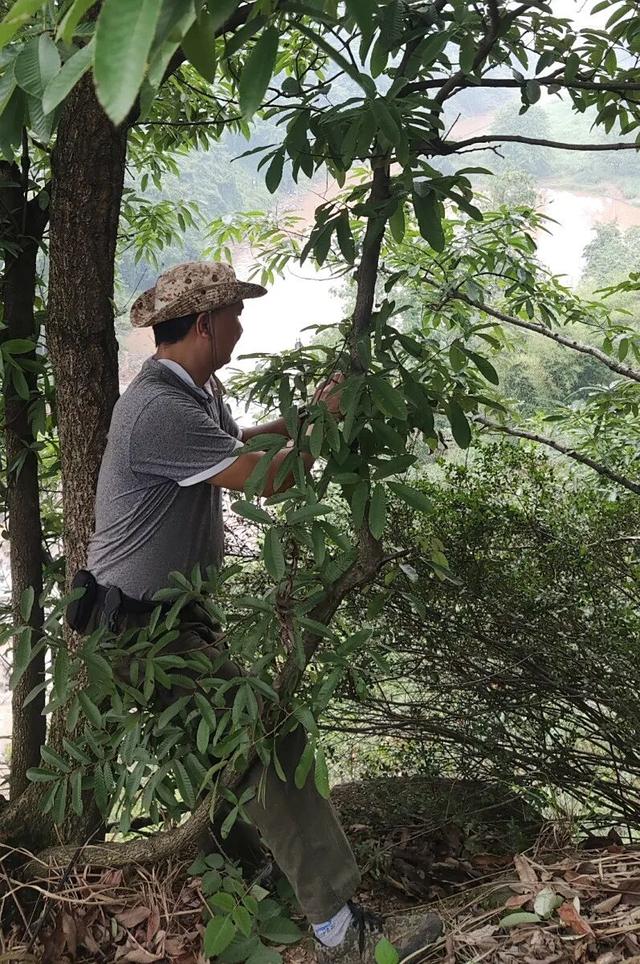 重庆渝北水库边发现神秘悬崖洞，传闻是旧时大地主私藏财宝的据点