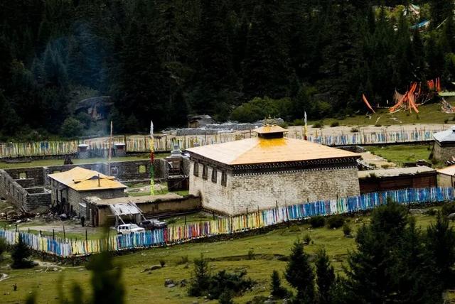 西藏绝美四季：从林芝桃花到阿里湖泊，每一眼都震撼心灵