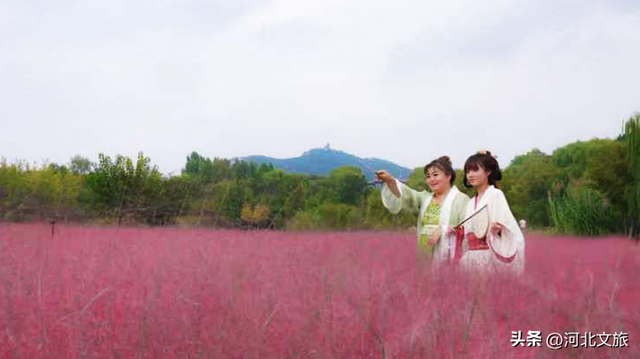 邯郸太行山红叶、紫山粉黛、广府古城……等你打卡