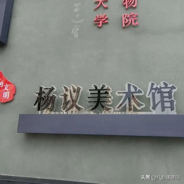 这次杨议终于说出真心话，身家亿万全赔光，只能靠直播赚点早饭钱