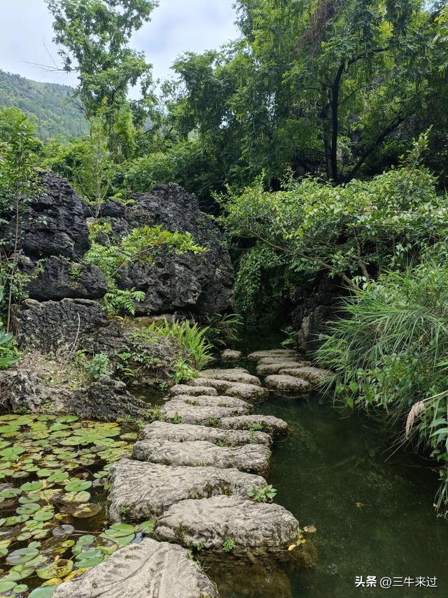 无为在歧路，贵州六日行（8）～黄果树