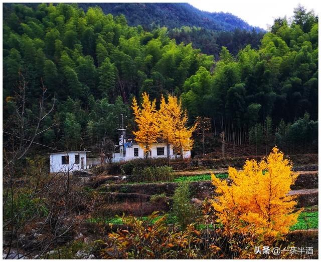 安徽省安庆市区及周边免费床车房车自驾露营地停车场