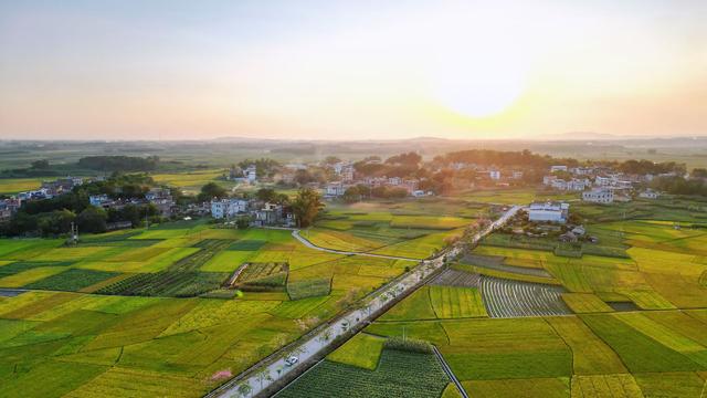 广西横州市历史沿革及行政区划