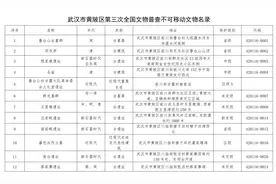 新洲县城，虽然历史没有黄陂县城悠久，但取名字就显得有文化多了图片