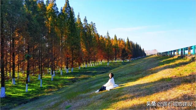 拍照绝美!就在黄石这里 快去打卡吧!