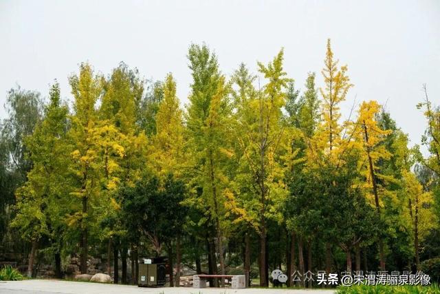 陕西渭南：人和公园亭台楼阁 秋色宜人 风光无限好