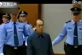 在粪坑里如鱼得水的是蛆而非蛟龙图片