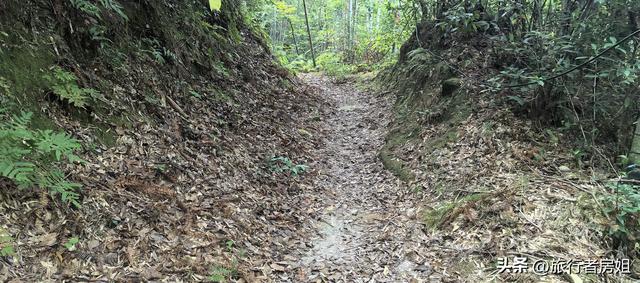 一条古道从浙江到安徽，全程经过三个古村落